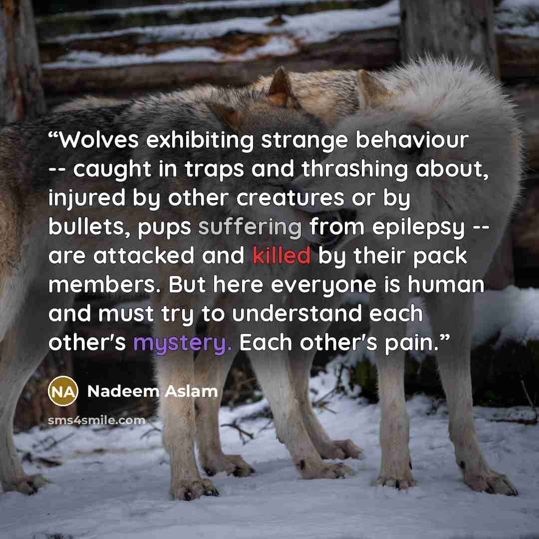 “Wolves exhibiting strange behaviour -- caught in traps and thrashing about, injured by other creatures or by bullets, pups suffering from epilepsy -- are attacked and killed by their pack members. But here everyone is human and must try to understand each other's mystery. Each other's pain.” quote by Nadeem Aslam