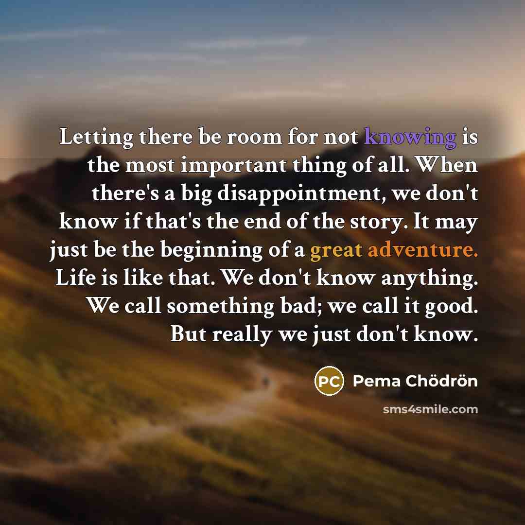 “Letting there be room for not knowing is the most…” quote by Pema Chodron