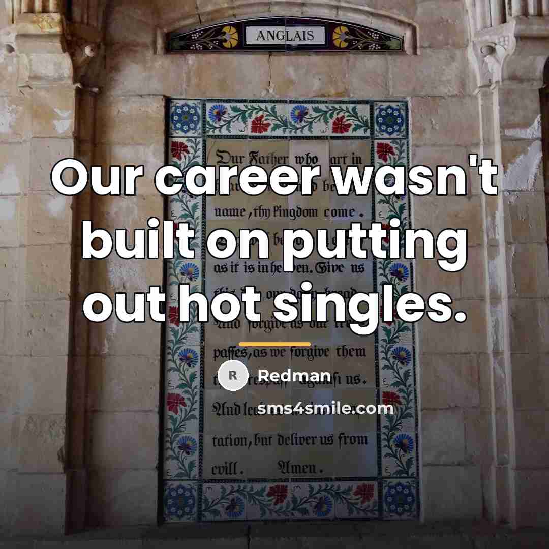 “Our career wasn't built on putting out hot singles.…” quote by Redman