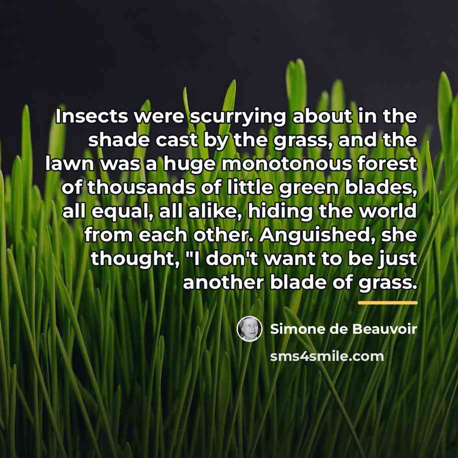“Insects were scurrying about in the shade cast by the…” quote by Simone de Beauvoir