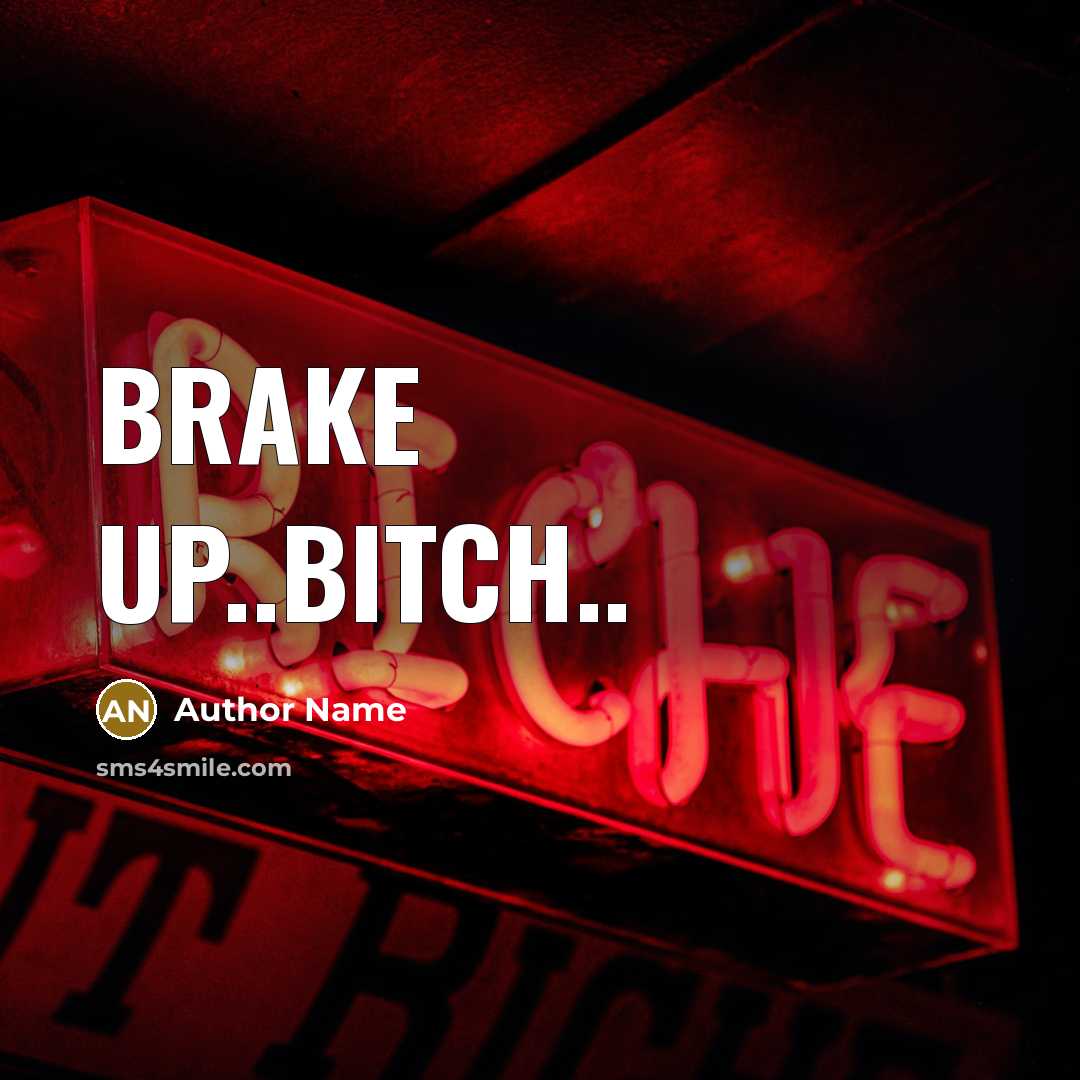 “Brake up..bitch..” quote by Author Name