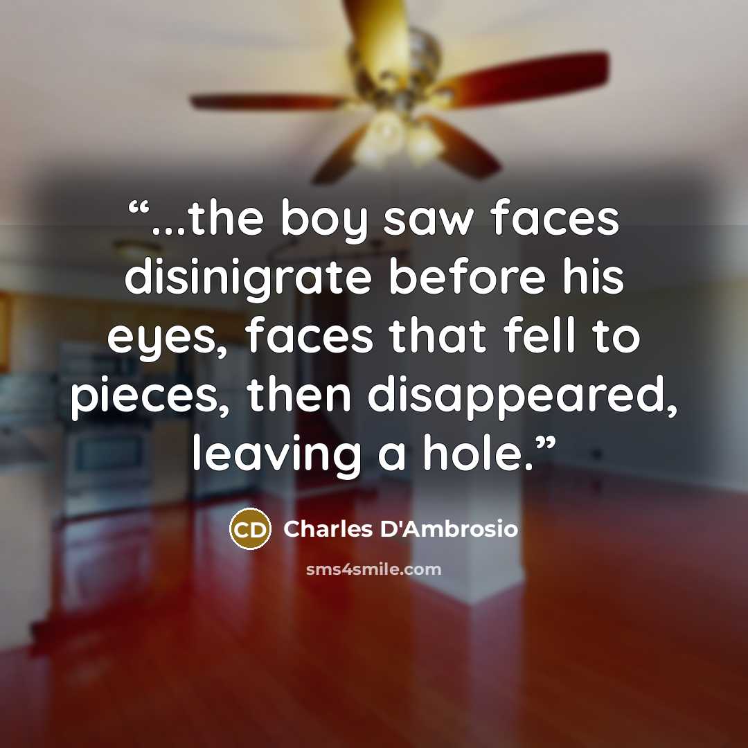 “...the boy saw faces disinigrate before his eyes, faces that fell to pieces, then disappeared, leaving a hole.” quote by Charles D'Ambrosio
