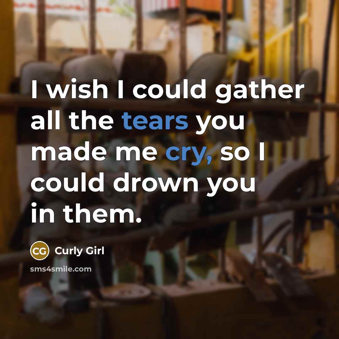 “I wish I could gather all the tears you made me cry, so I could drown you in them.” quote by Curly Girl