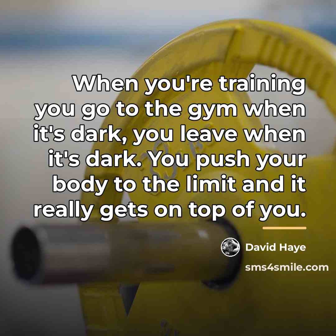 “When you're training you go to the gym when it's…” quote by David Haye