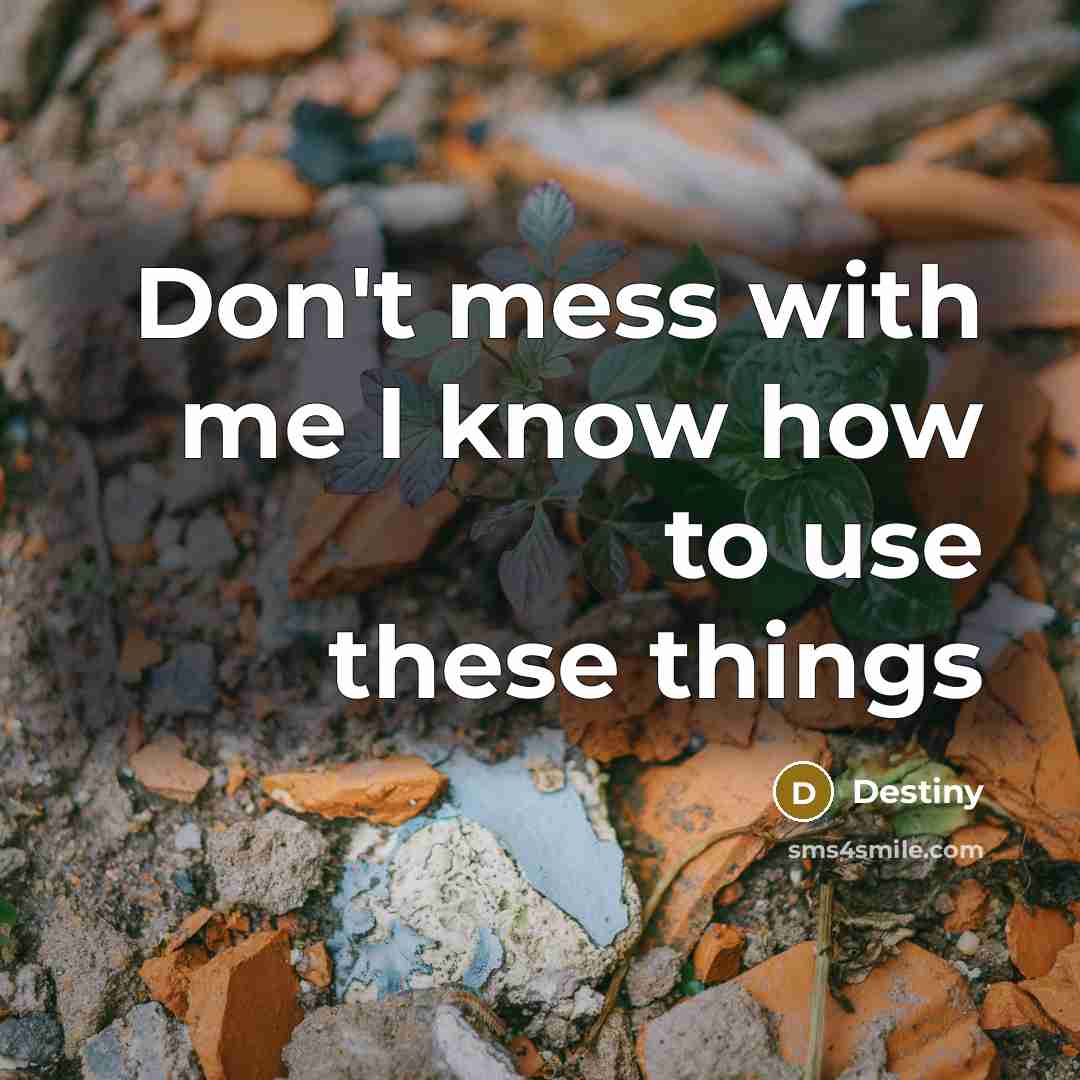 “Don't mess with me I know how to use these…” quote by Destiny