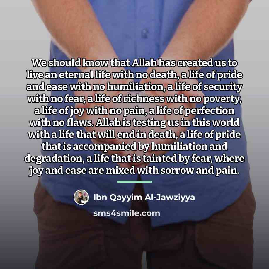 “We should know that Allah has created us to live…” quote by Ibn Qayyim Al-Jawziyya