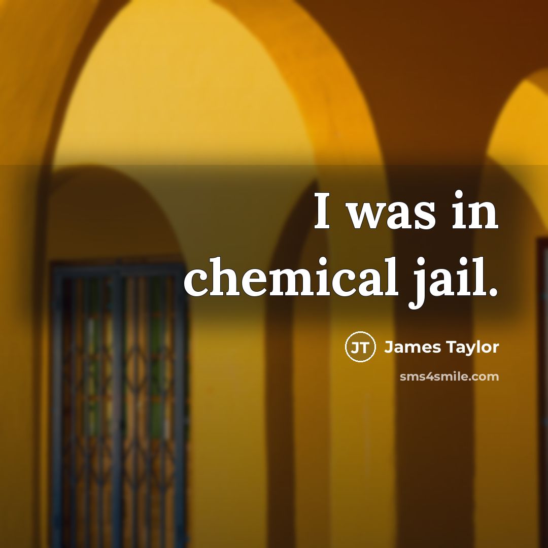 “I was in chemical jail.…” quote by James Taylor