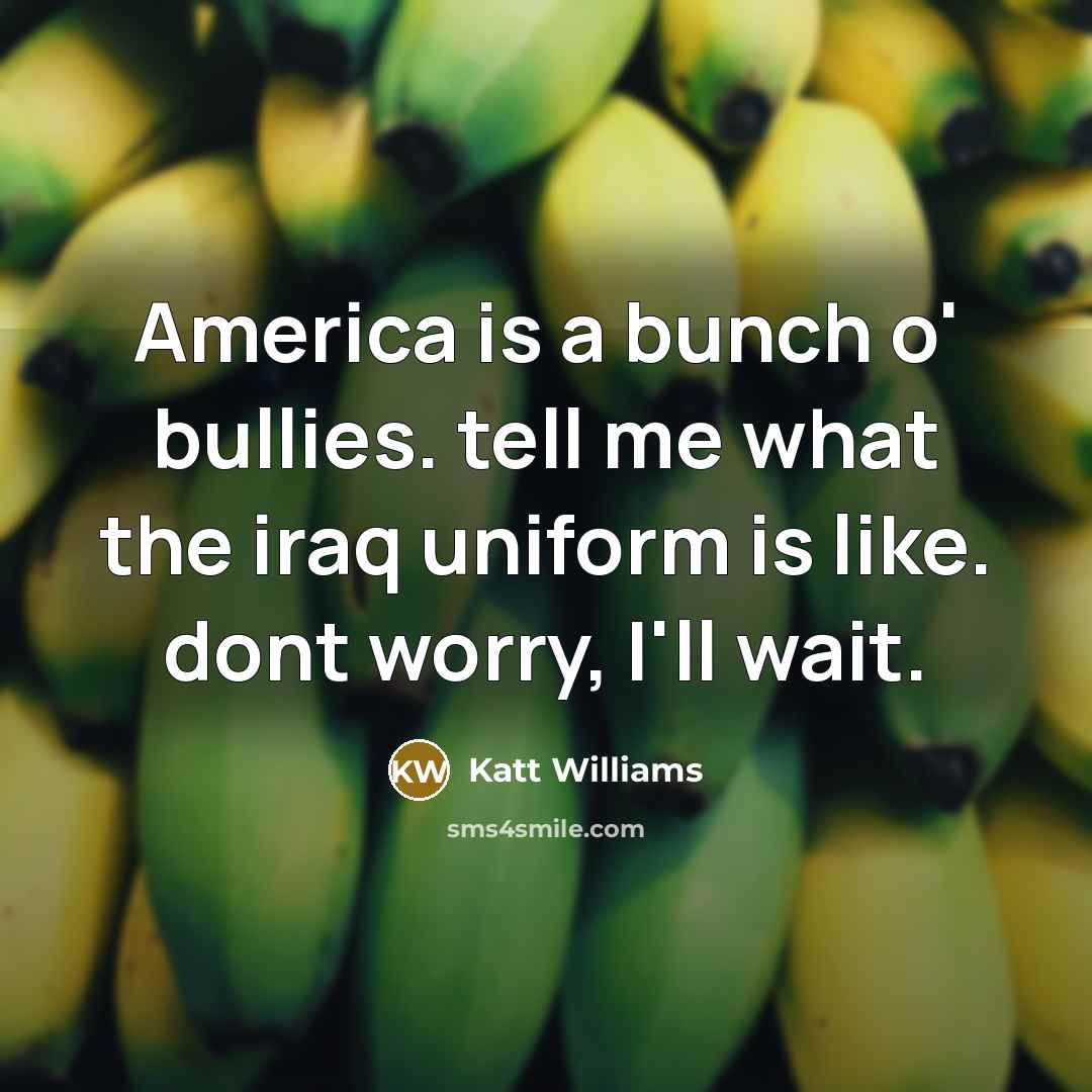 “America is a bunch o' bullies. tell me what the…” quote by Katt Williams