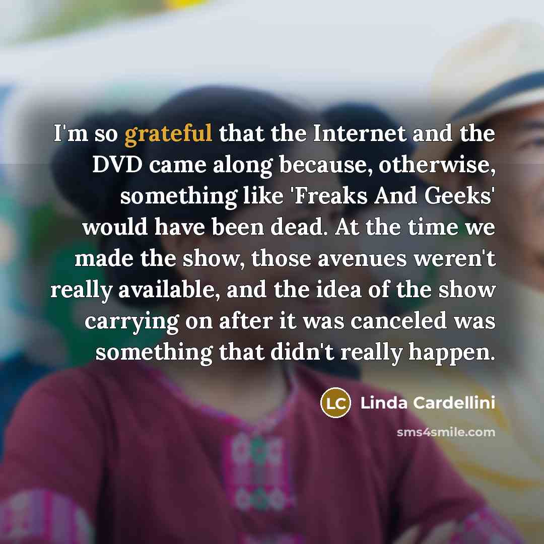 “I'm so grateful that the Internet and the DVD came…” quote by Linda Cardellini