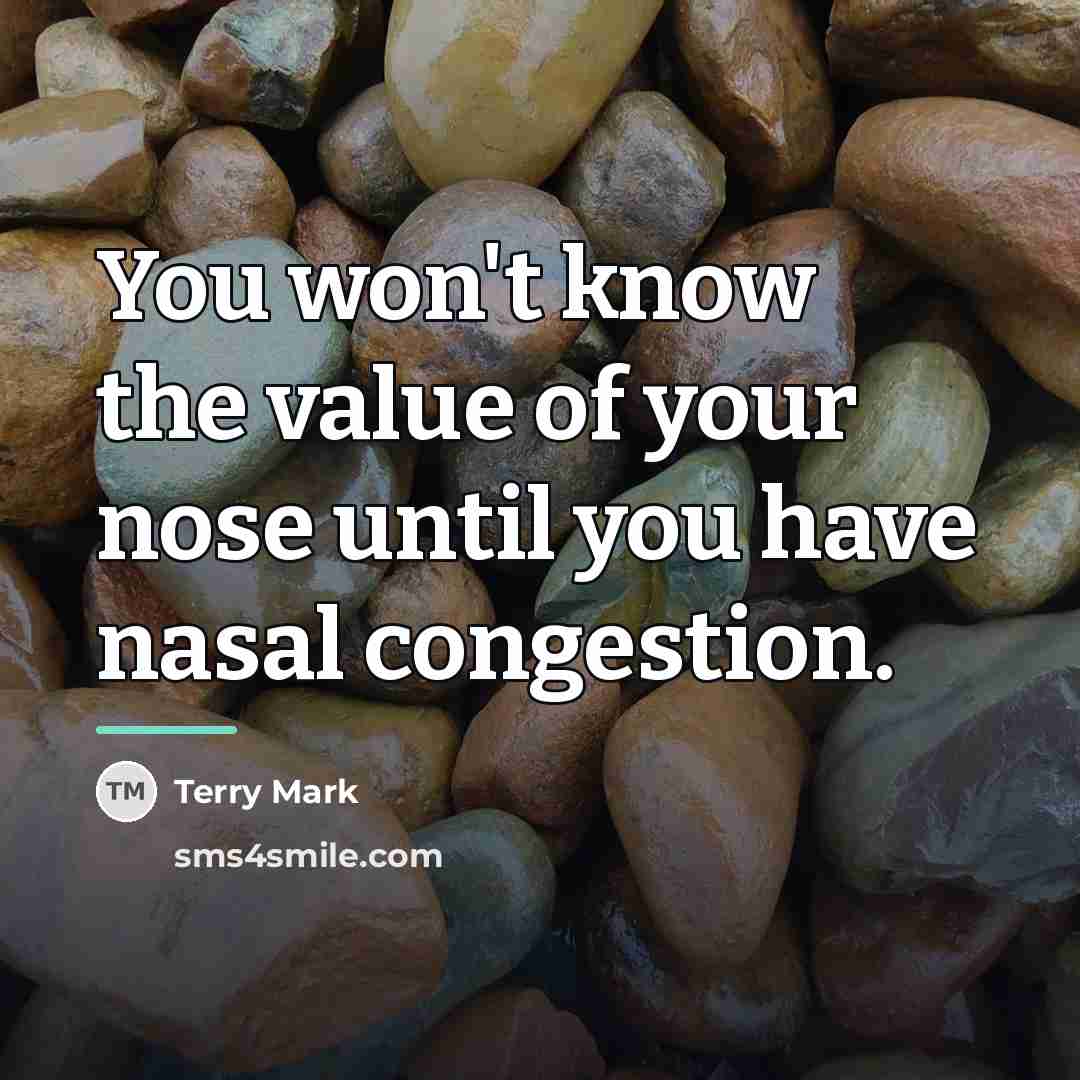 “You won't know the value of your nose until you…” quote by Terry Mark