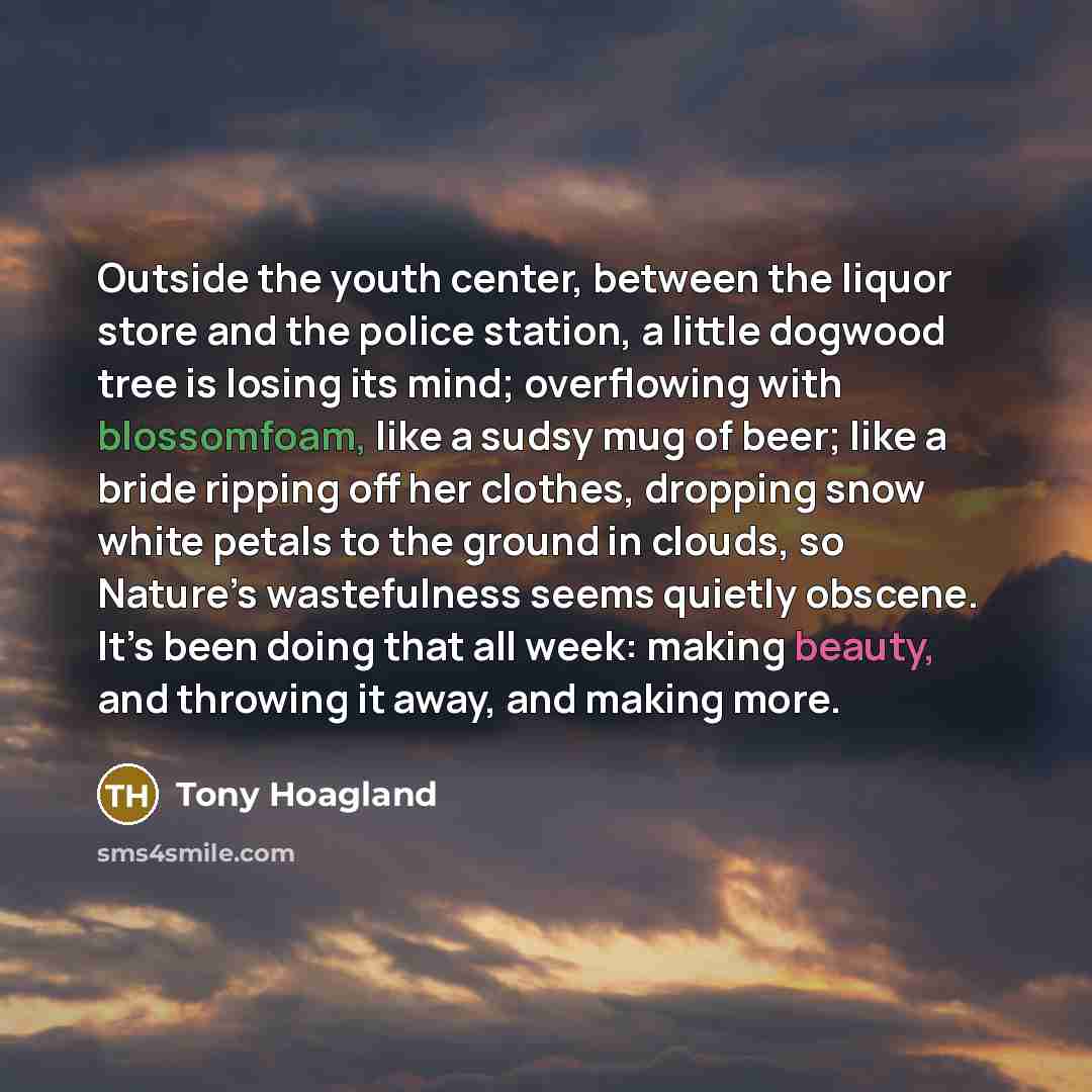 “Outside the youth center, between the liquor store and the…” quote by Tony Hoagland