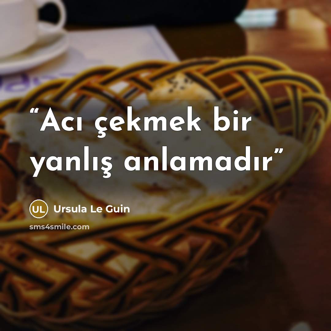 “Acı çekmek bir yanlış anlamadır” quote by Ursula Le Guin