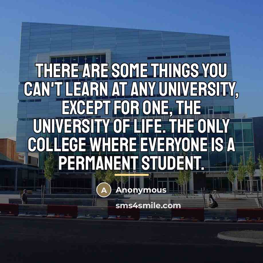 “There are some things you can't learn at any university,…” quote by Anonymous