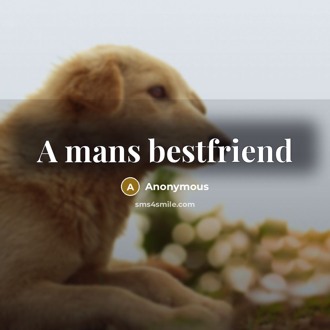 “A mans bestfriend” quote by Anonymous