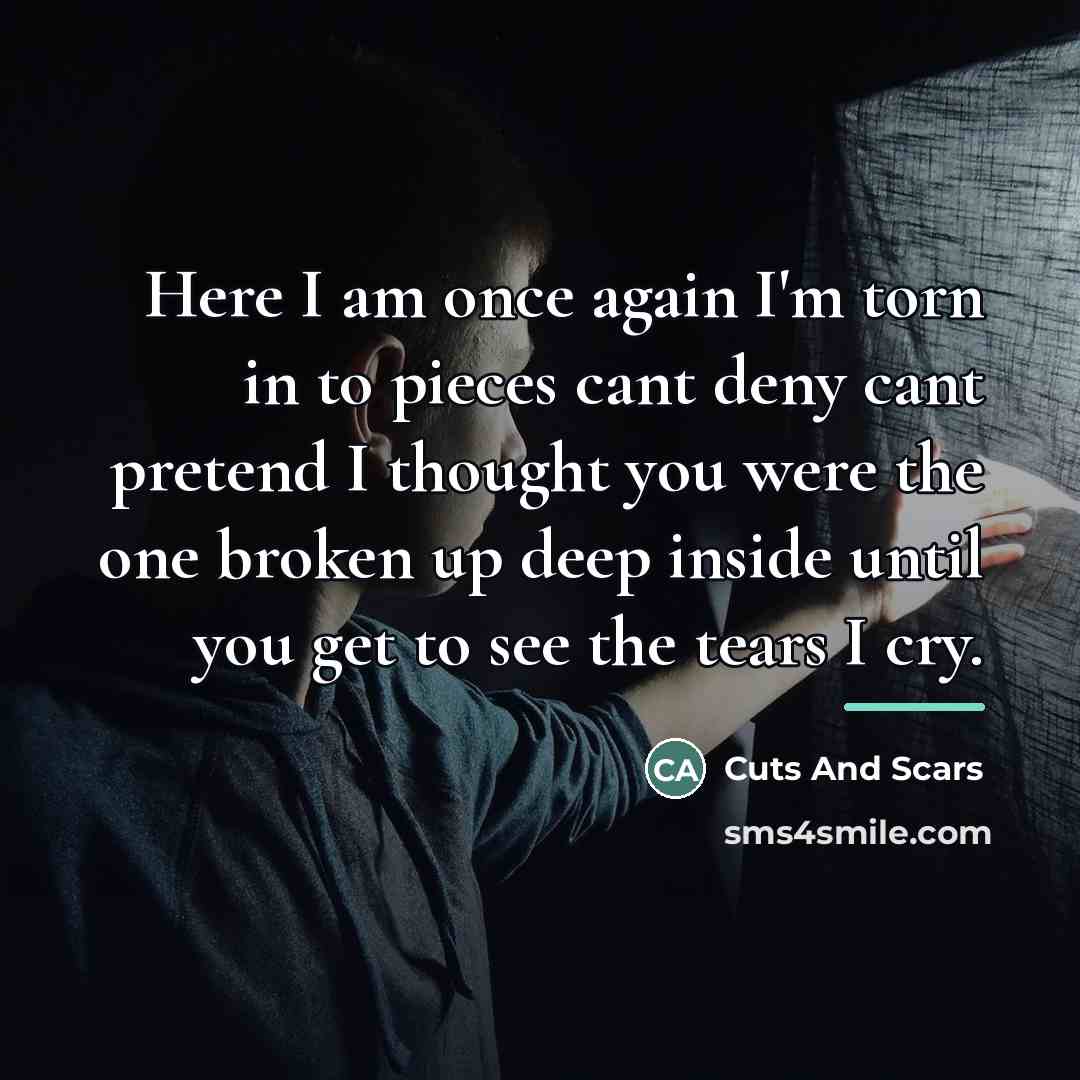 “Here I am once again I'm torn in to pieces…” quote by Cuts And Scars