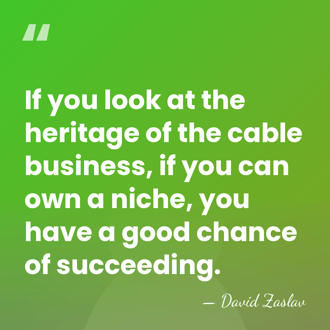 If you look at the heritage of the cable business, if you&hellip; - David Zaslav