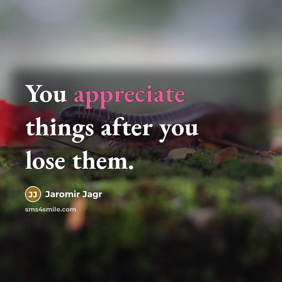 “You appreciate things after you lose them.…” quote by Jaromir Jagr