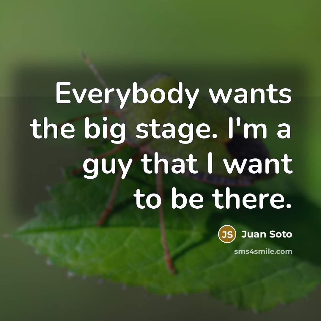 “Everybody wants the big stage. I'm a guy that I…” quote by Juan Soto