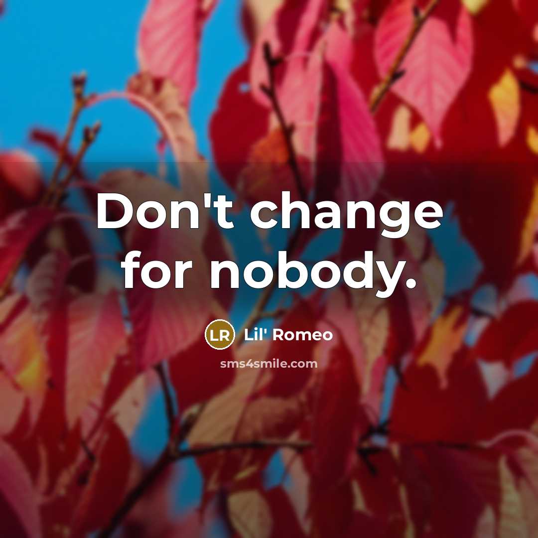 “Don't change for nobody.…” quote by Lil' Romeo