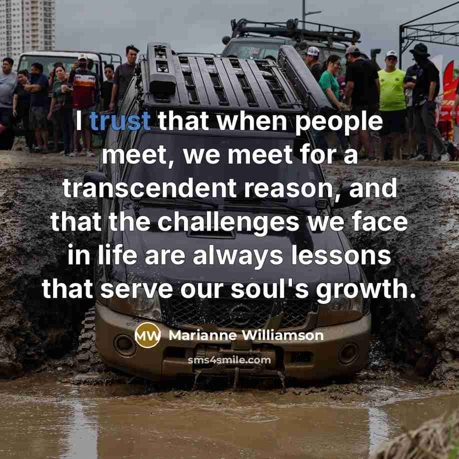 “I trust that when people meet, we meet for a…” quote by Marianne Williamson