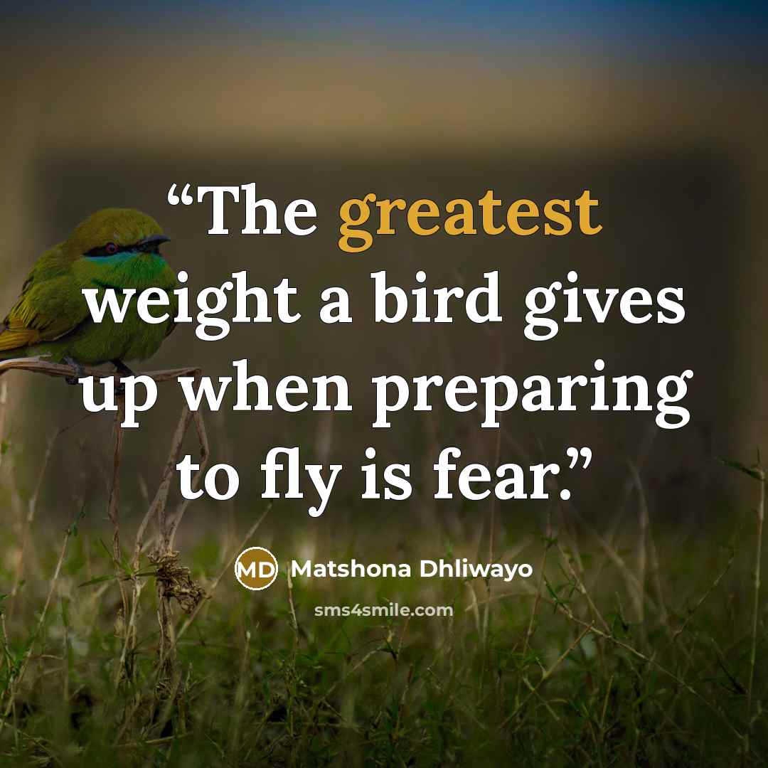 “The greatest weight a bird gives up when preparing to fly is fear.” quote by Matshona Dhliwayo