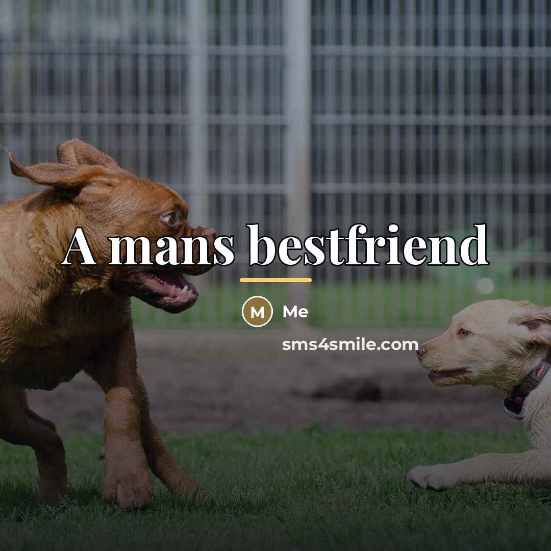 “A mans bestfriend…” quote by Me