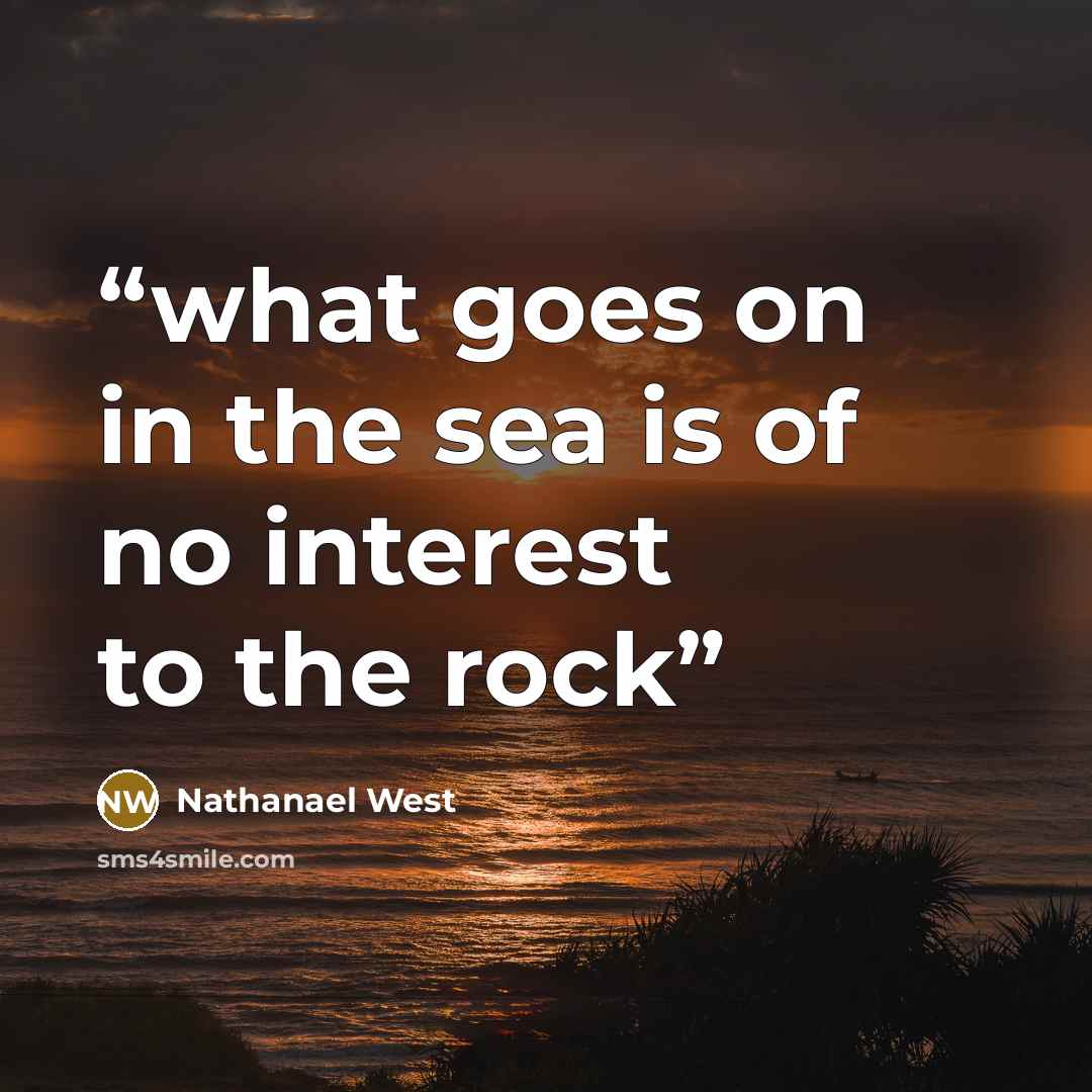 “what goes on in the sea is of no interest to the rock” quote by Nathanael West