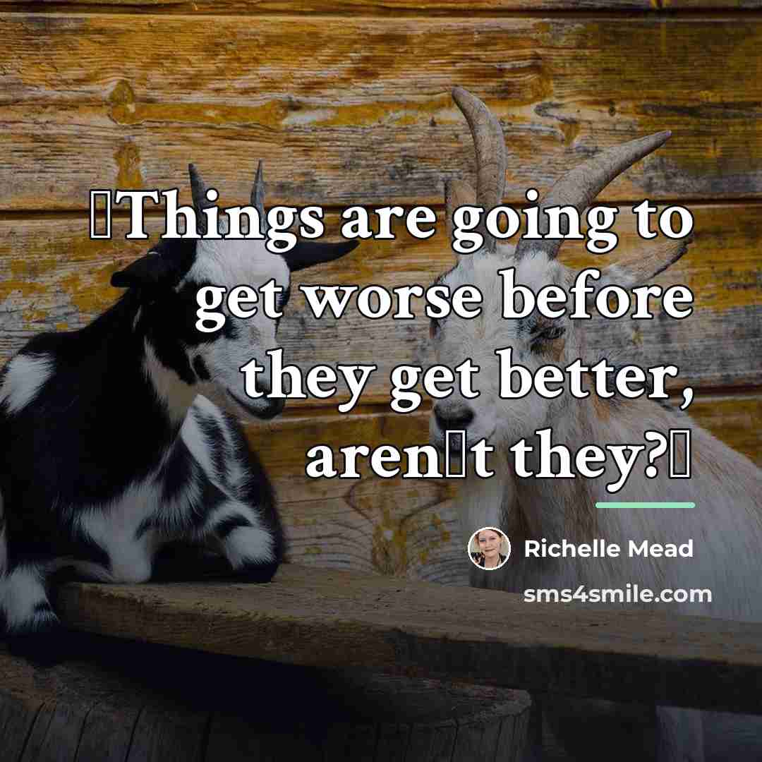 “ʺThings are going to get worse before they get better,…” quote by Richelle Mead