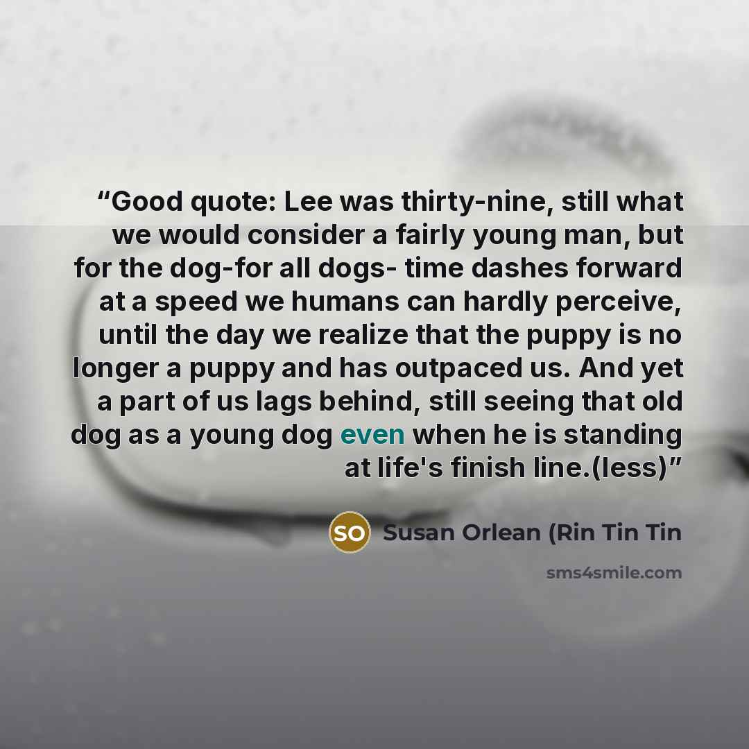 “Good quote: Lee was thirty-nine, still what we would consider a fairly young man, but for the dog-for all dogs- time dashes forward at a speed we humans can hardly perceive, until the day we realize that the puppy is no longer a puppy and has outpaced us. And yet a part of us lags behind, still…” quote by Susan Orlean (Rin Tin Tin