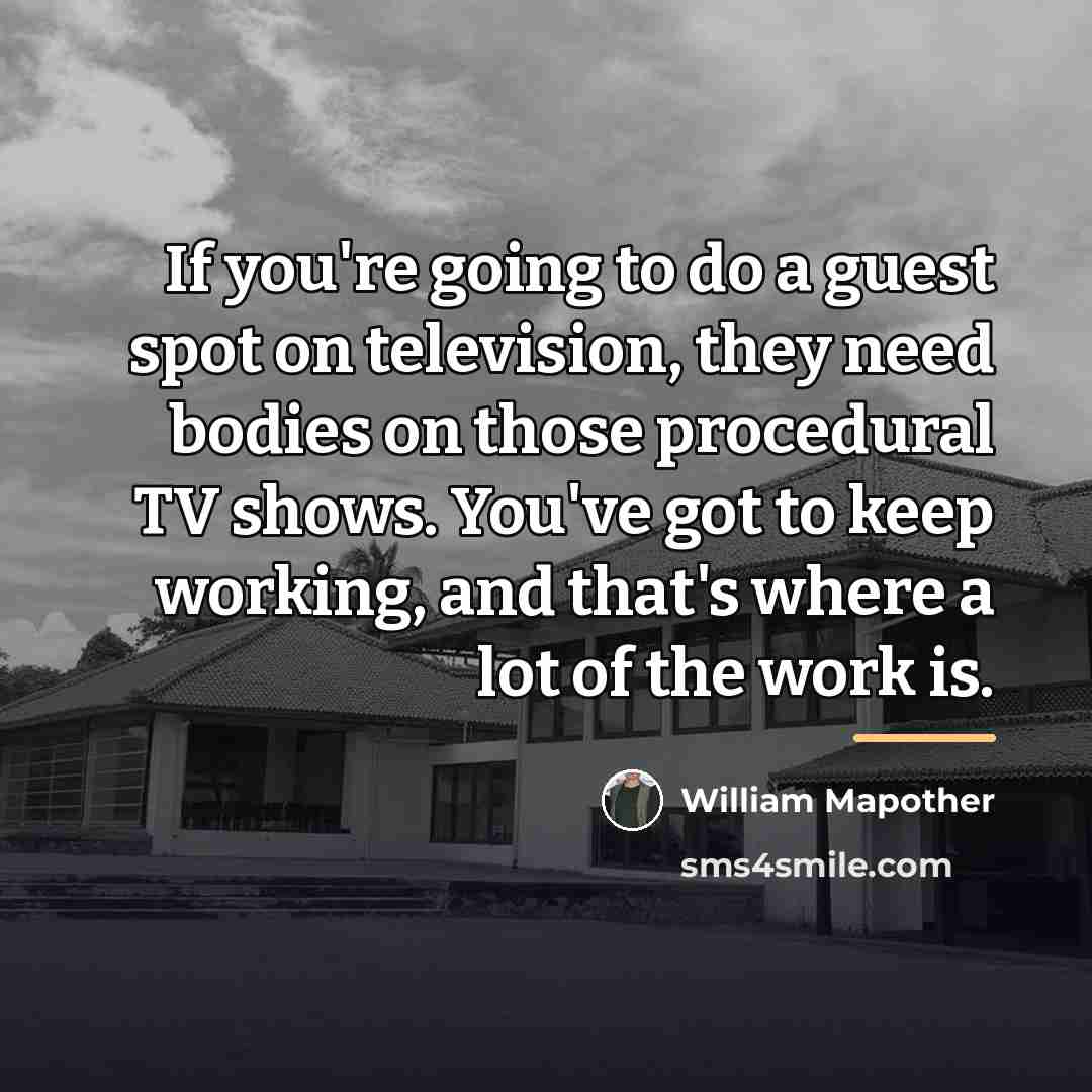 “If you're going to do a guest spot on television,…” quote by William Mapother