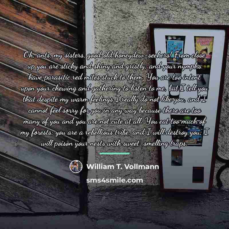 “Oh, ants, my sisters, good old honeydew-seekers! From close up…” quote by William T. Vollmann