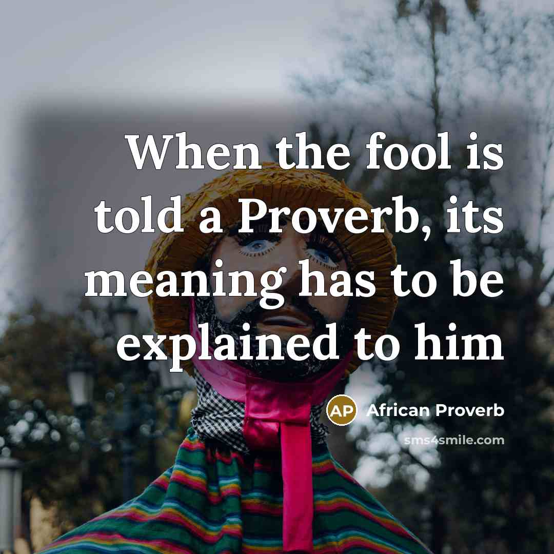 “When the fool is told a Proverb, its meaning has to be explained to him” quote by African Proverb