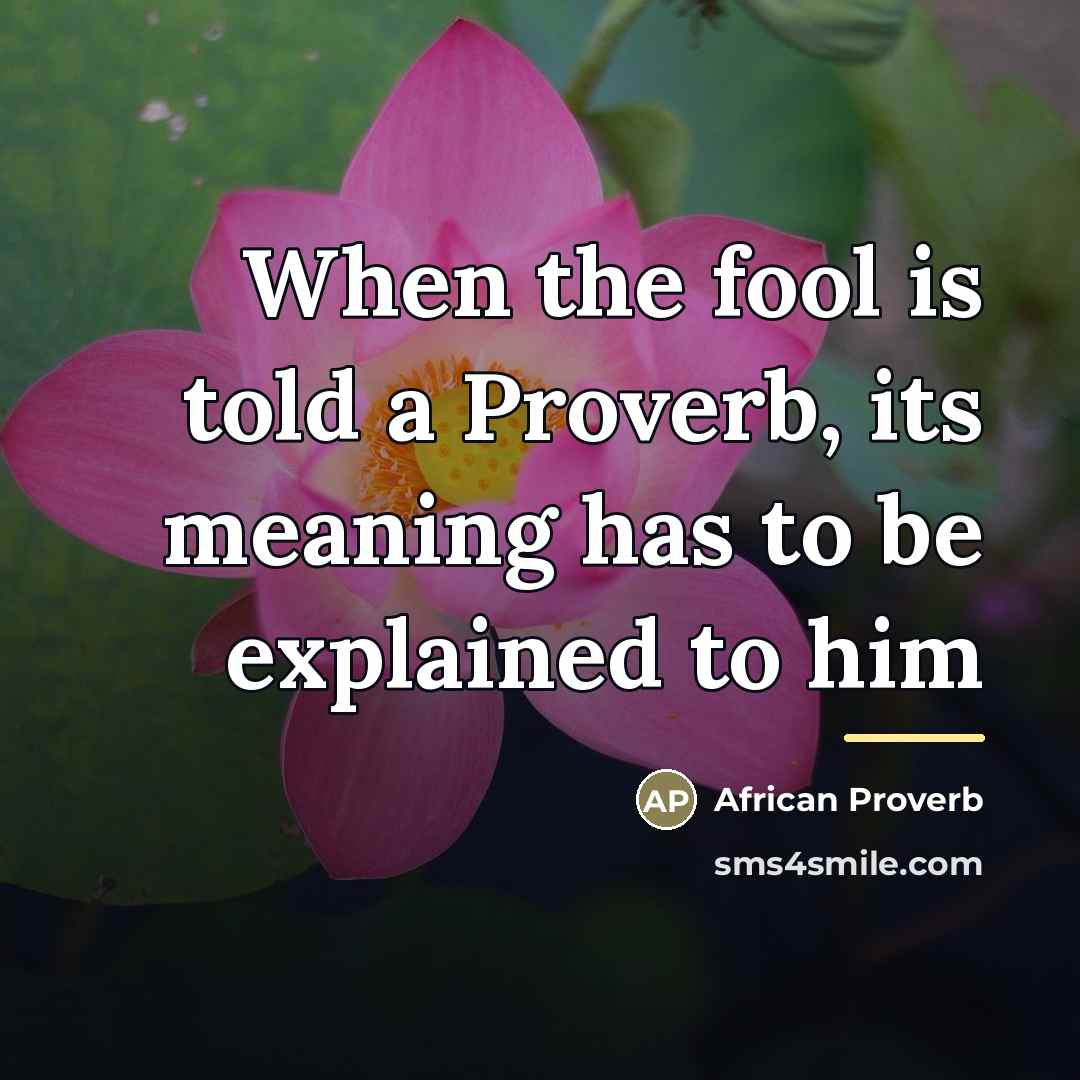 “When the fool is told a Proverb, its meaning has…” quote by African Proverb