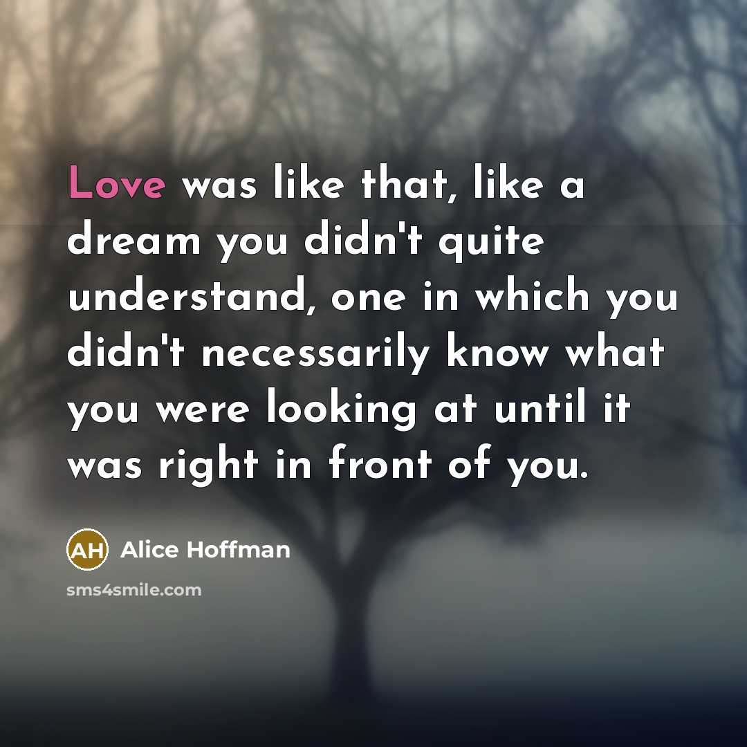 “Love was like that, like a dream you didn't quite…” quote by Alice Hoffman