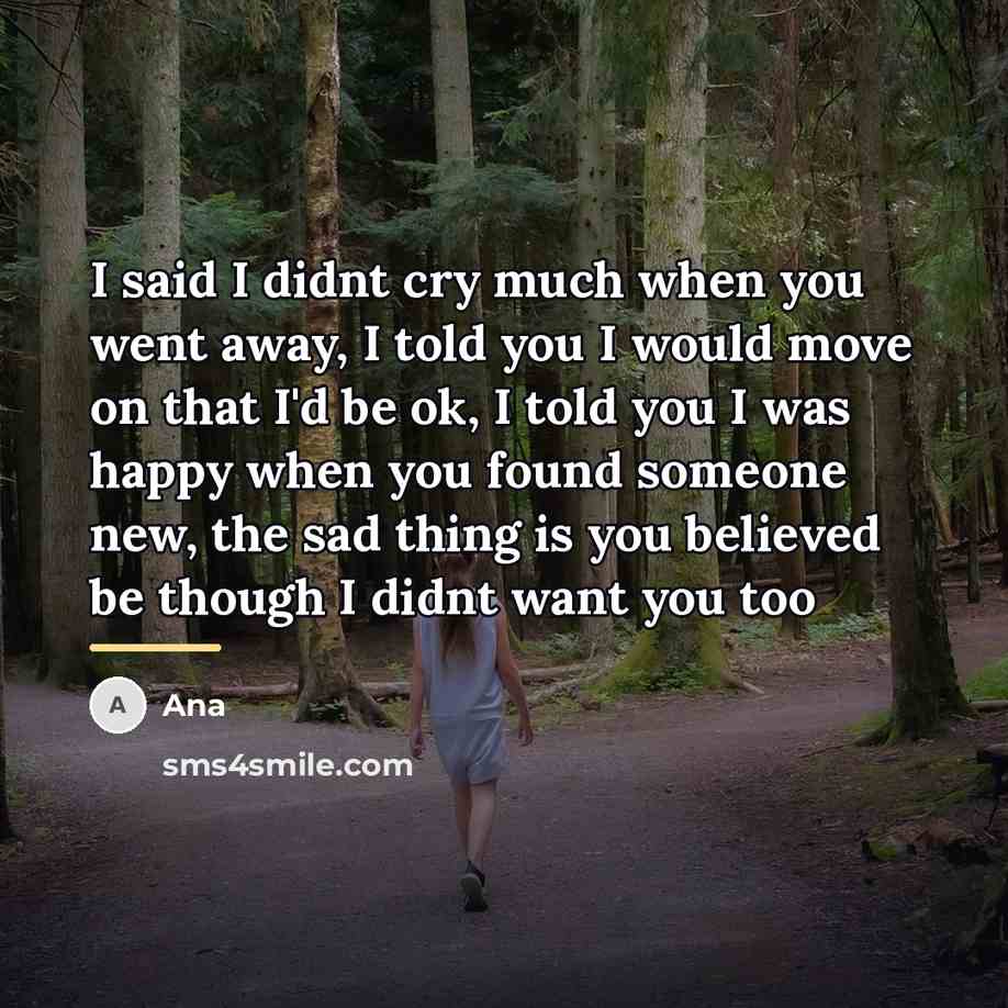 “I said I didnt cry much when you went away,…” quote by Ana