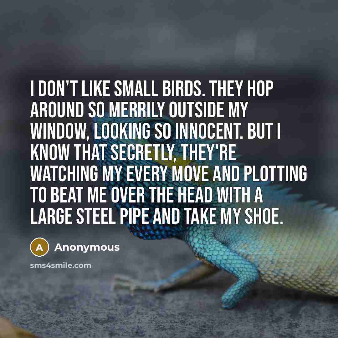 “I don't like small birds. They hop around so merrily…” quote by Anonymous
