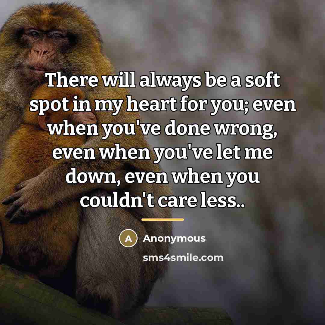 “There will always be a soft spot in my heart…” quote by Anonymous