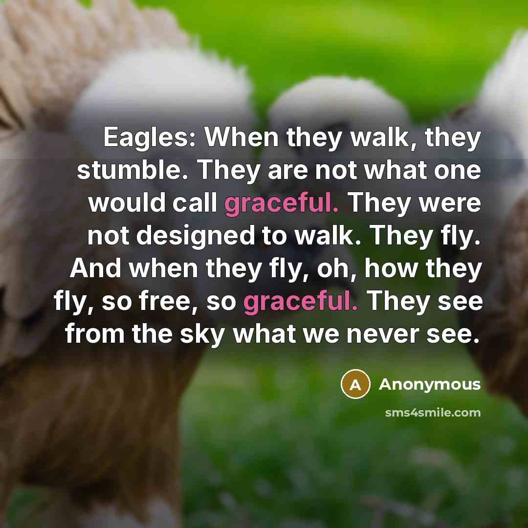 “Eagles: When they walk, they stumble. They are not what…” quote by Anonymous