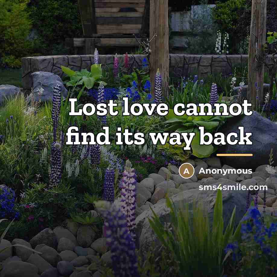 “Lost love cannot find its way back…” quote by Anonymous