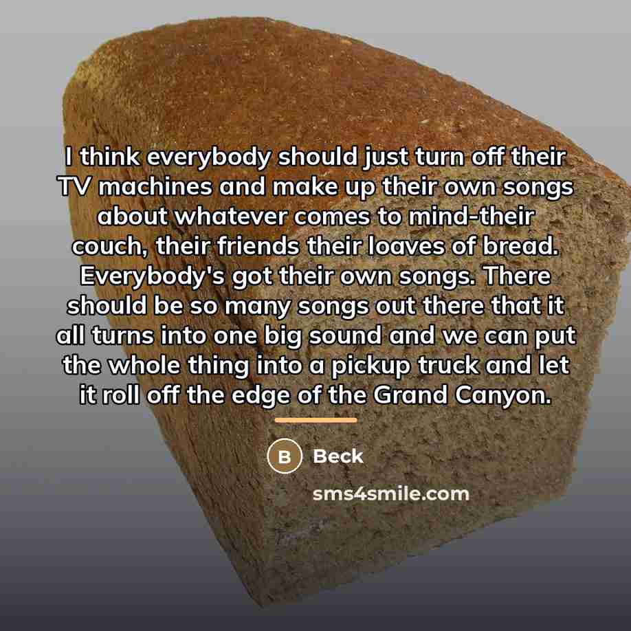 “I think everybody should just turn off their TV machines…” quote by Beck