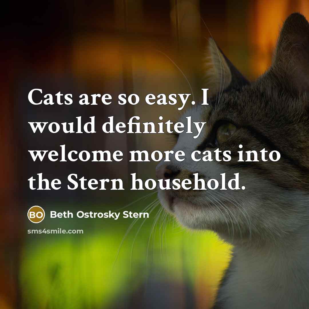 “Cats are so easy. I would definitely welcome more cats…” quote by Beth Ostrosky Stern