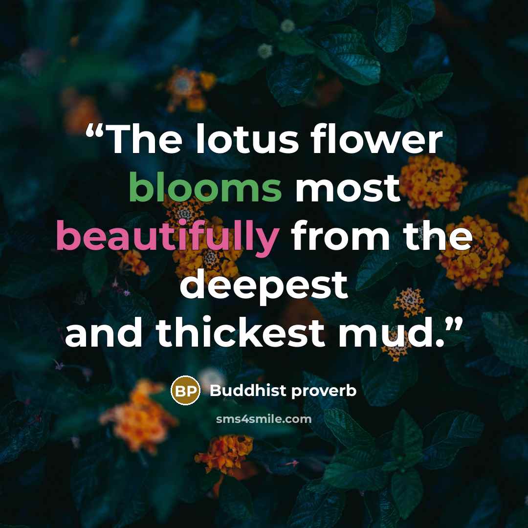 “The lotus flower blooms most beautifully from the deepest and thickest mud.” quote by Buddhist proverb