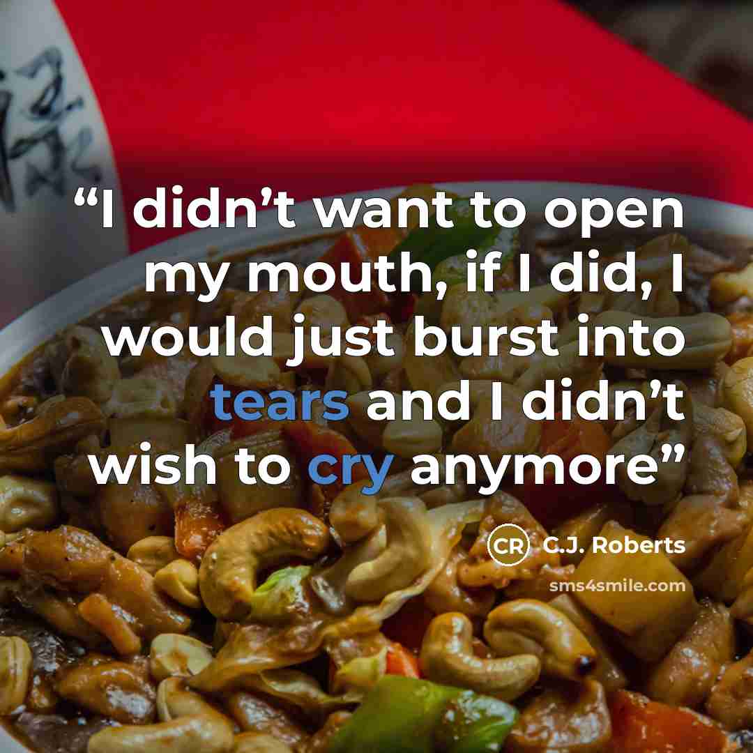 “I didn’t want to open my mouth, if I did, I would just burst into tears and I didn’t wish to cry anymore” quote by C.J. Roberts