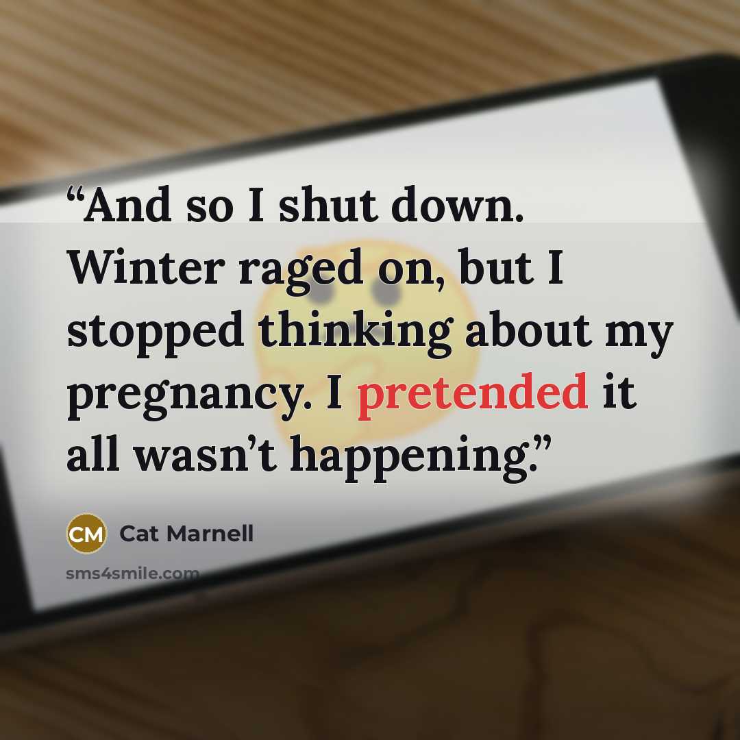 “And so I shut down. Winter raged on, but I stopped thinking about my pregnancy. I pretended it all wasn’t happening.” quote by Cat Marnell