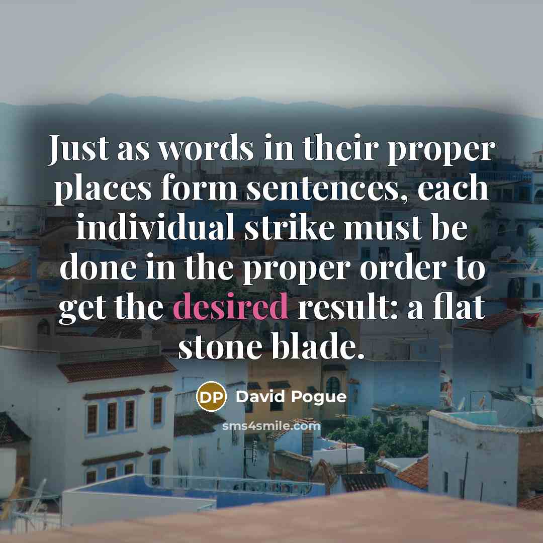 “Just as words in their proper places form sentences, each individual strike must be done in the proper order to get the desired result: a flat stone blade.” quote by David Pogue