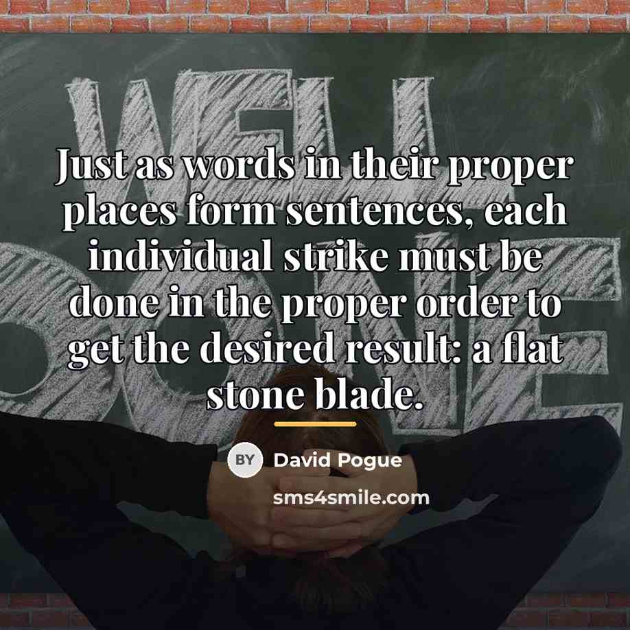 “Just as words in their proper places form sentences, each…” quote by David Pogue