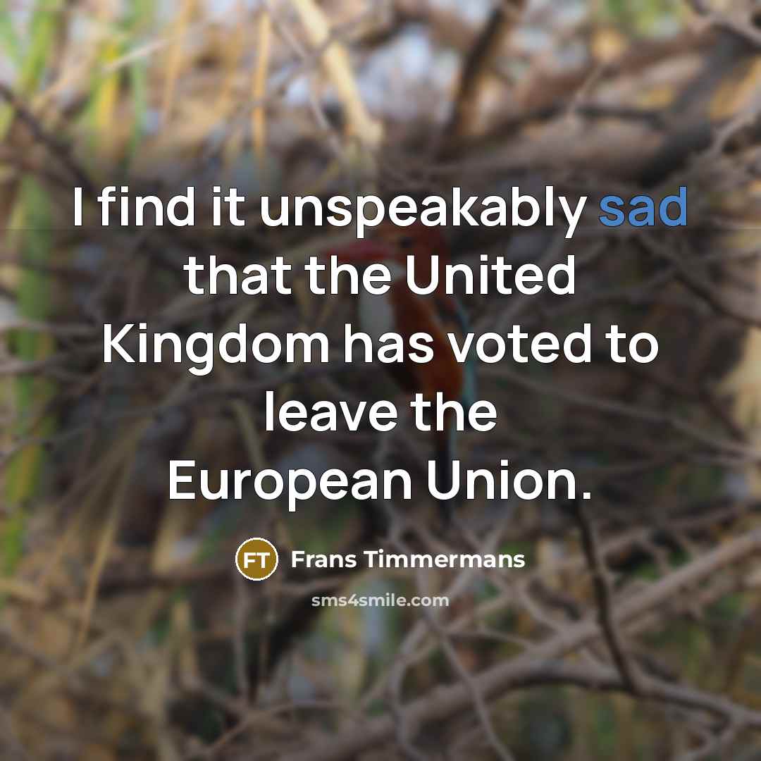 “I find it unspeakably sad that the United Kingdom has…” quote by Frans Timmermans