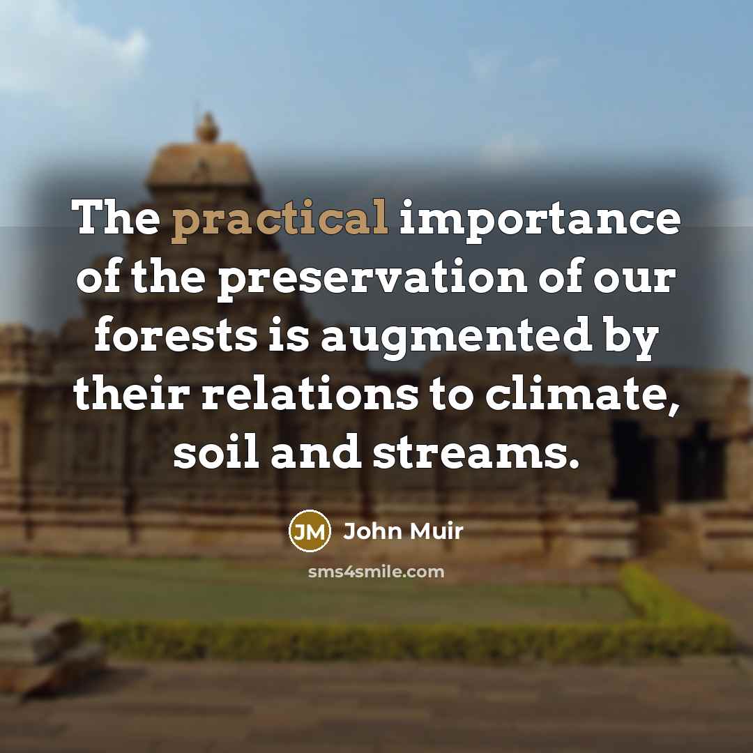 “The practical importance of the preservation of our forests is…” quote by John Muir