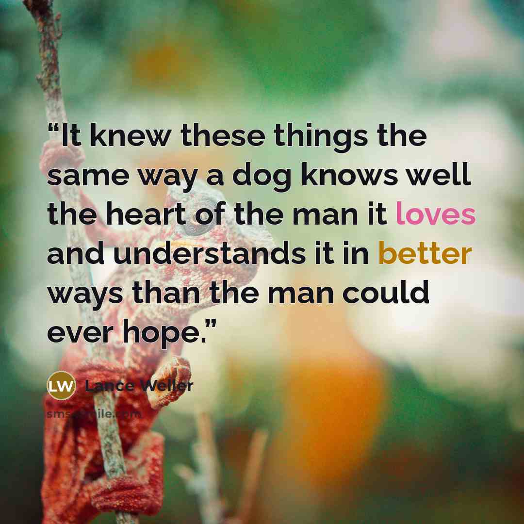 “It knew these things the same way a dog knows well the heart of the man it loves and understands it in better ways than the man could ever hope.” quote by Lance Weller