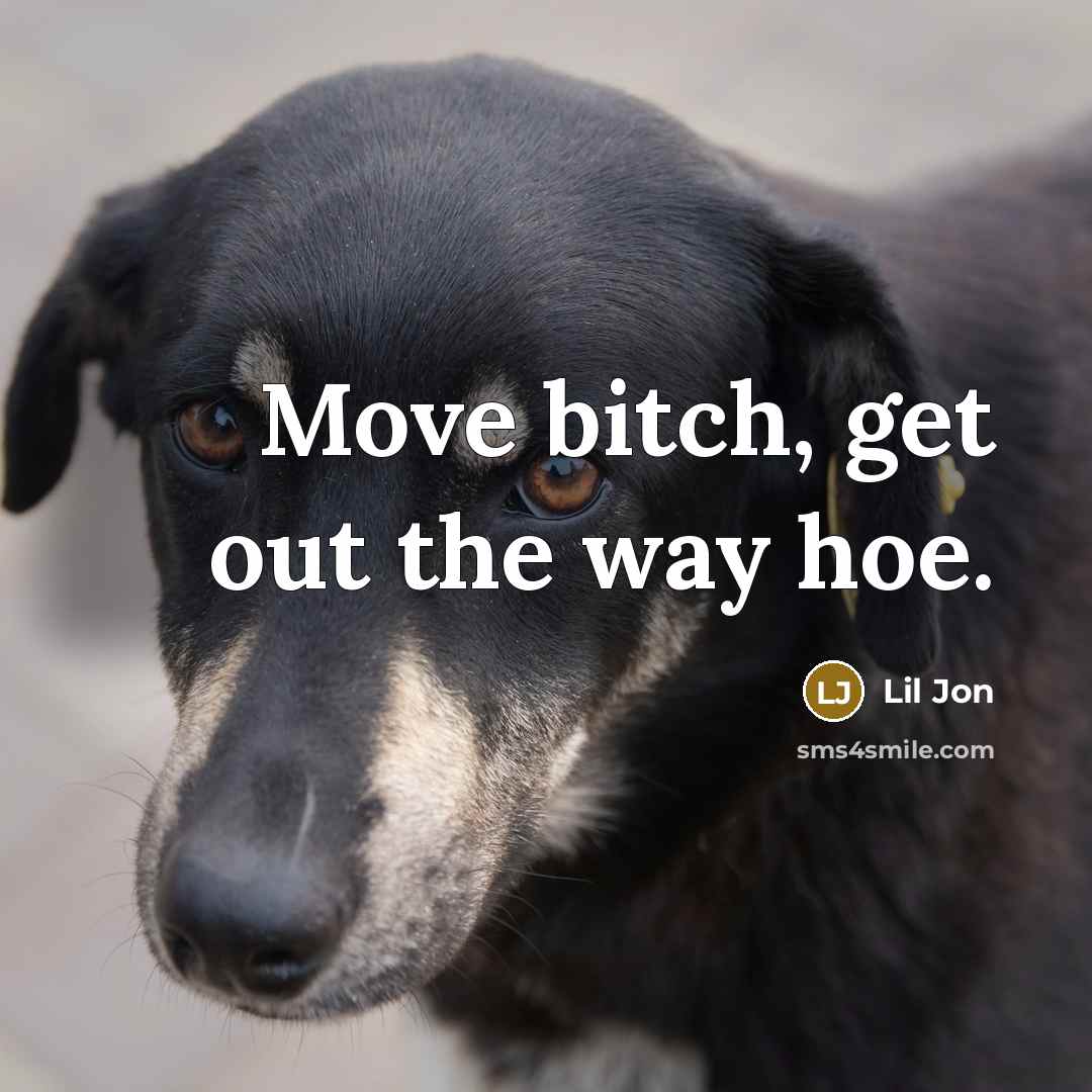 “Move bitch, get out the way hoe.…” quote by Lil Jon